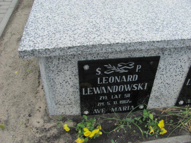 Józefa Lewanowska 1910 Ślesin - Grobonet - Wyszukiwarka osób pochowanych