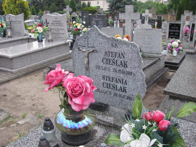 Stefan Cieślak 1958 Ślesin - Grobonet - Wyszukiwarka osób pochowanych